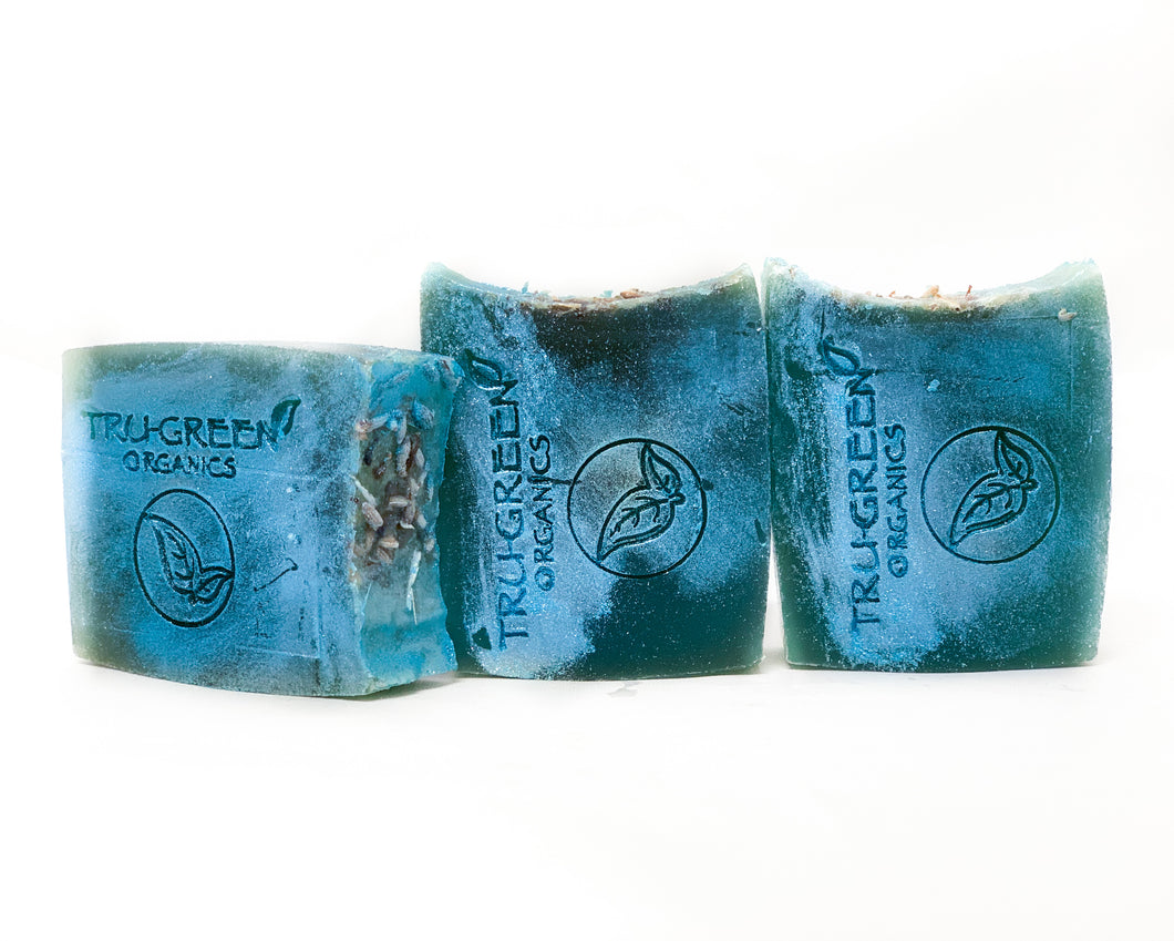 Blueberry Antioxidant Soap - 3 slices (discounted)